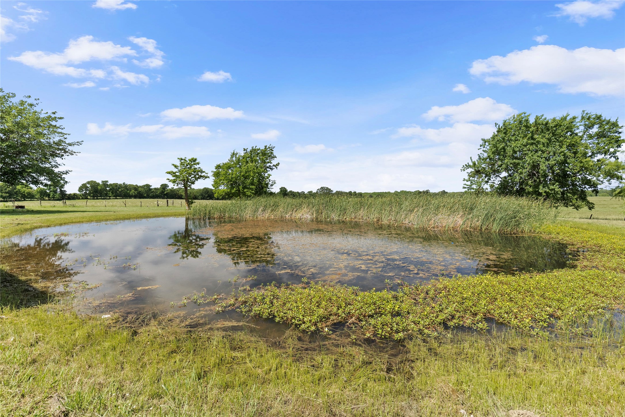 480 County Road 14420
