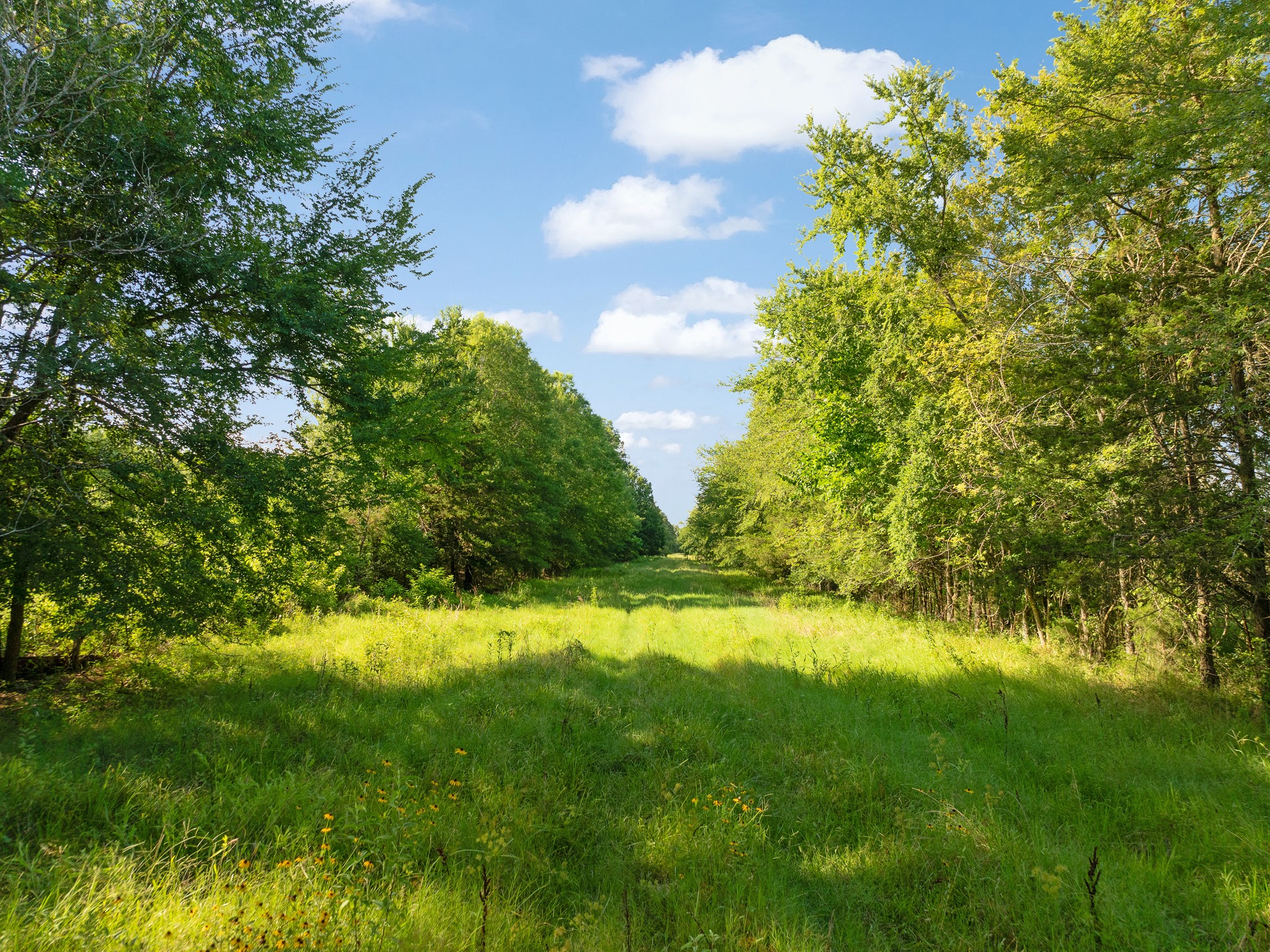259 COUNTY ROAD 44880