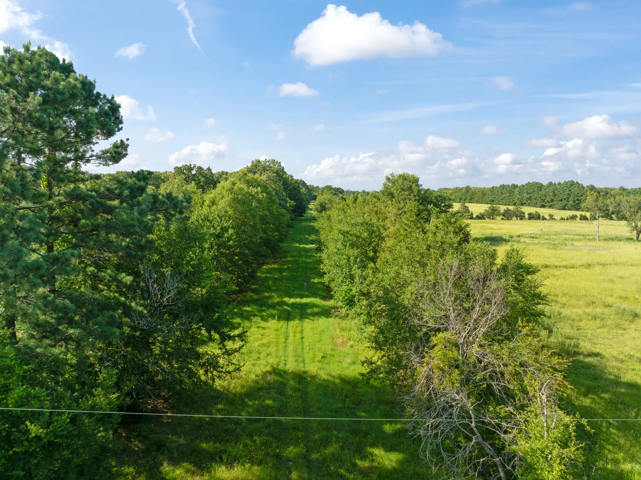 259 COUNTY ROAD 44880