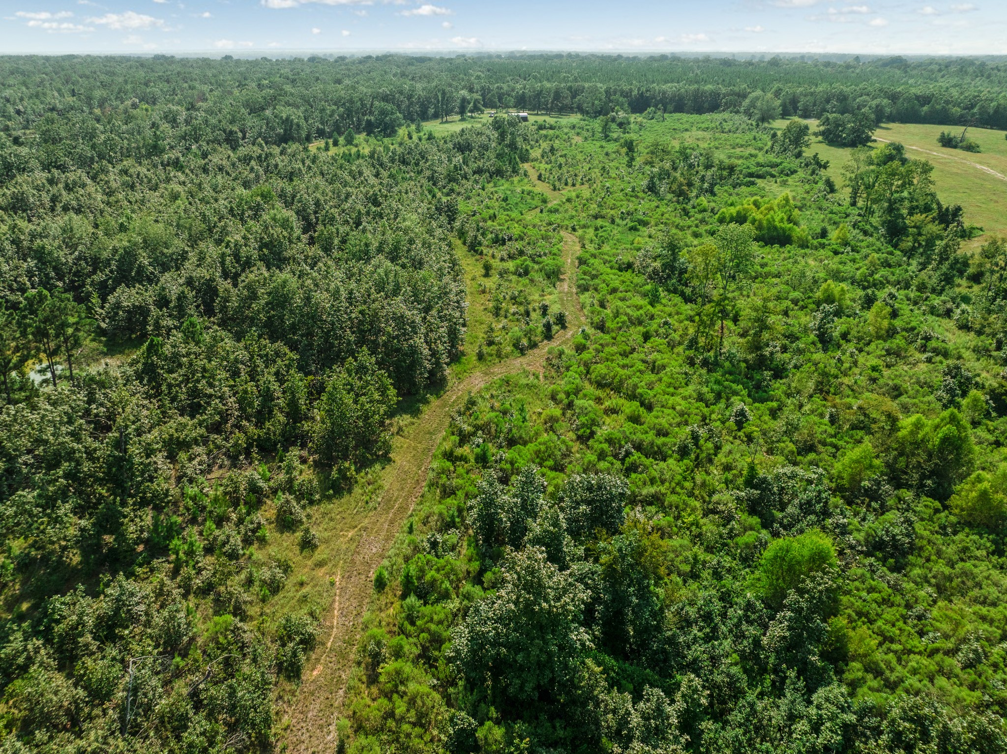 344 County Road 1276
