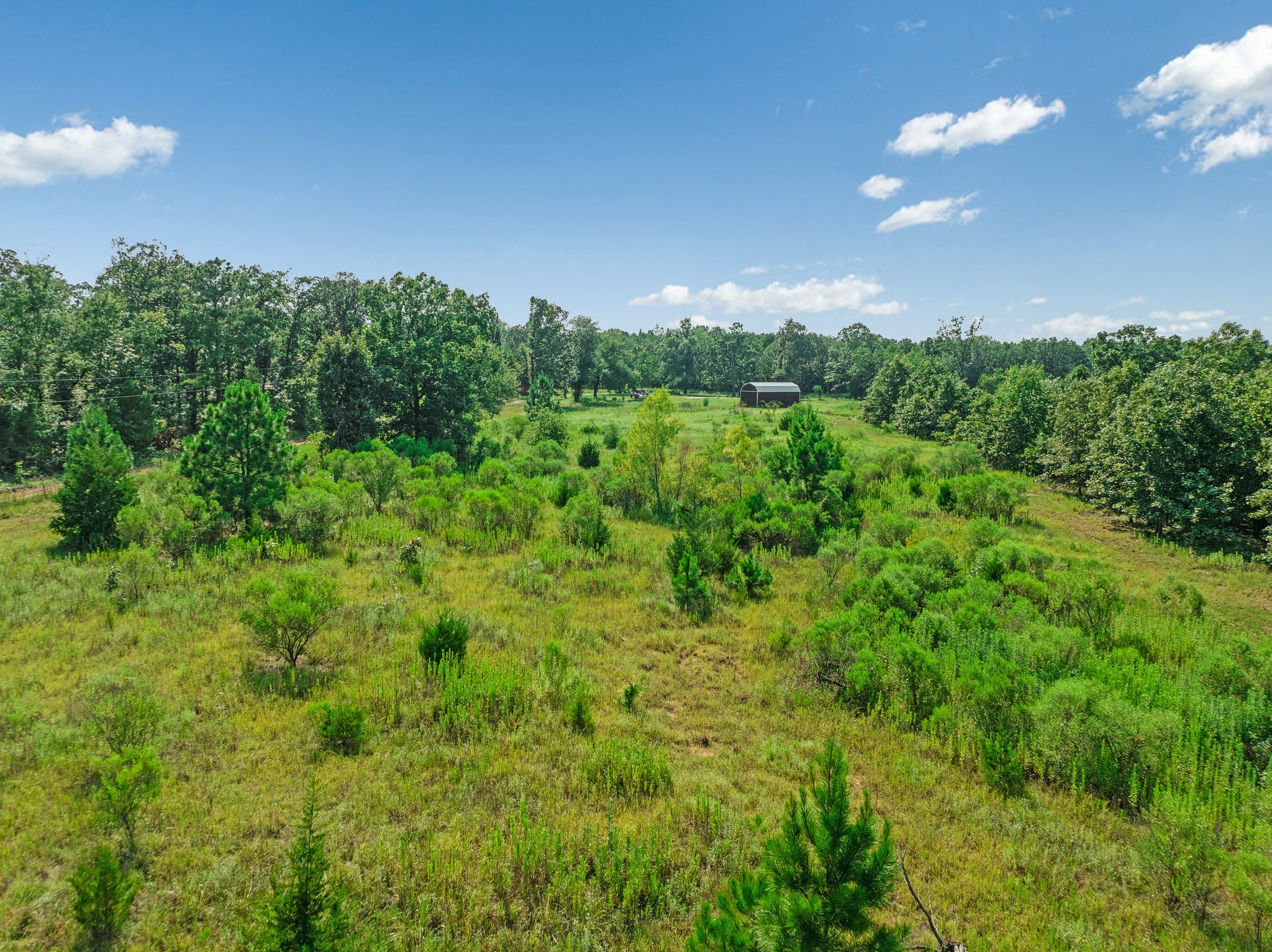 344 County Road 1276