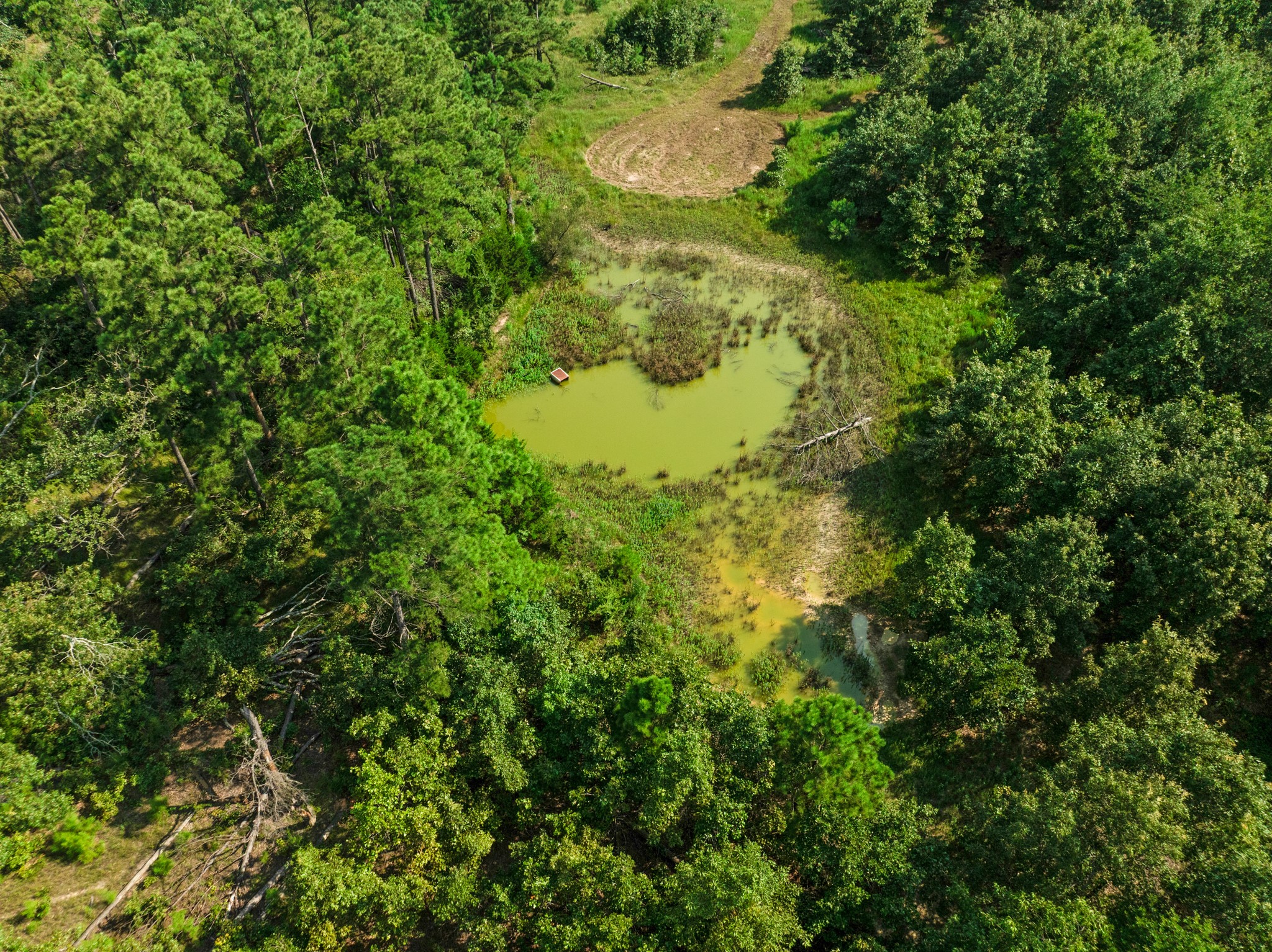 344 County Road 1276