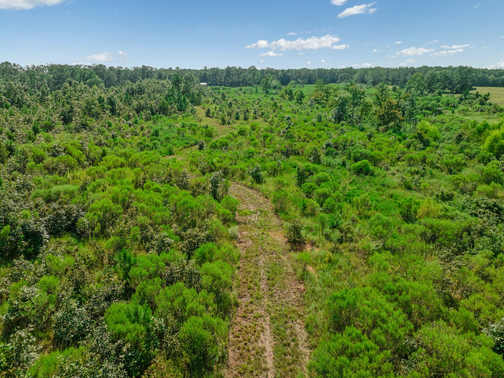 344 County Road 1276