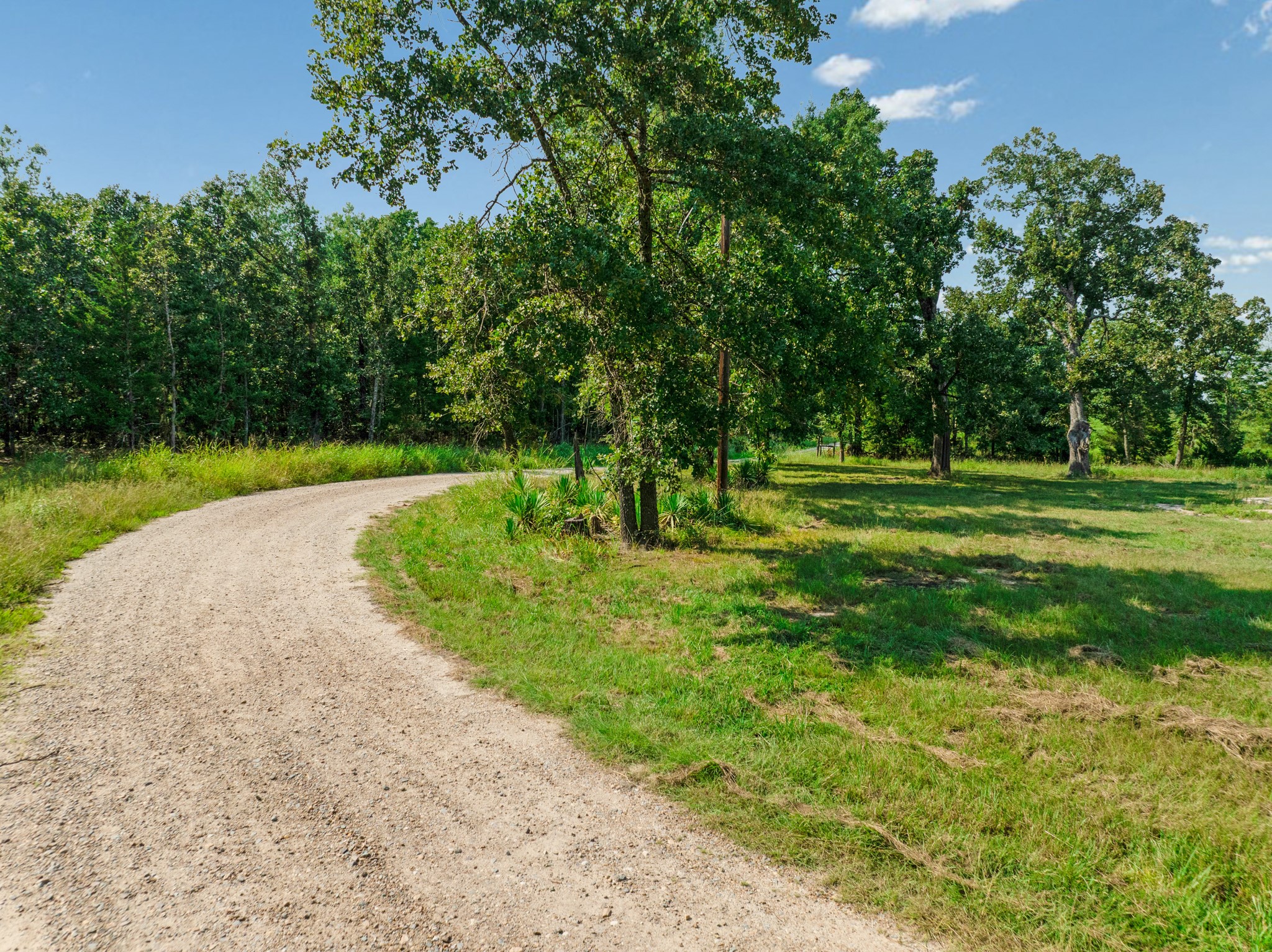 344 County Road 1276