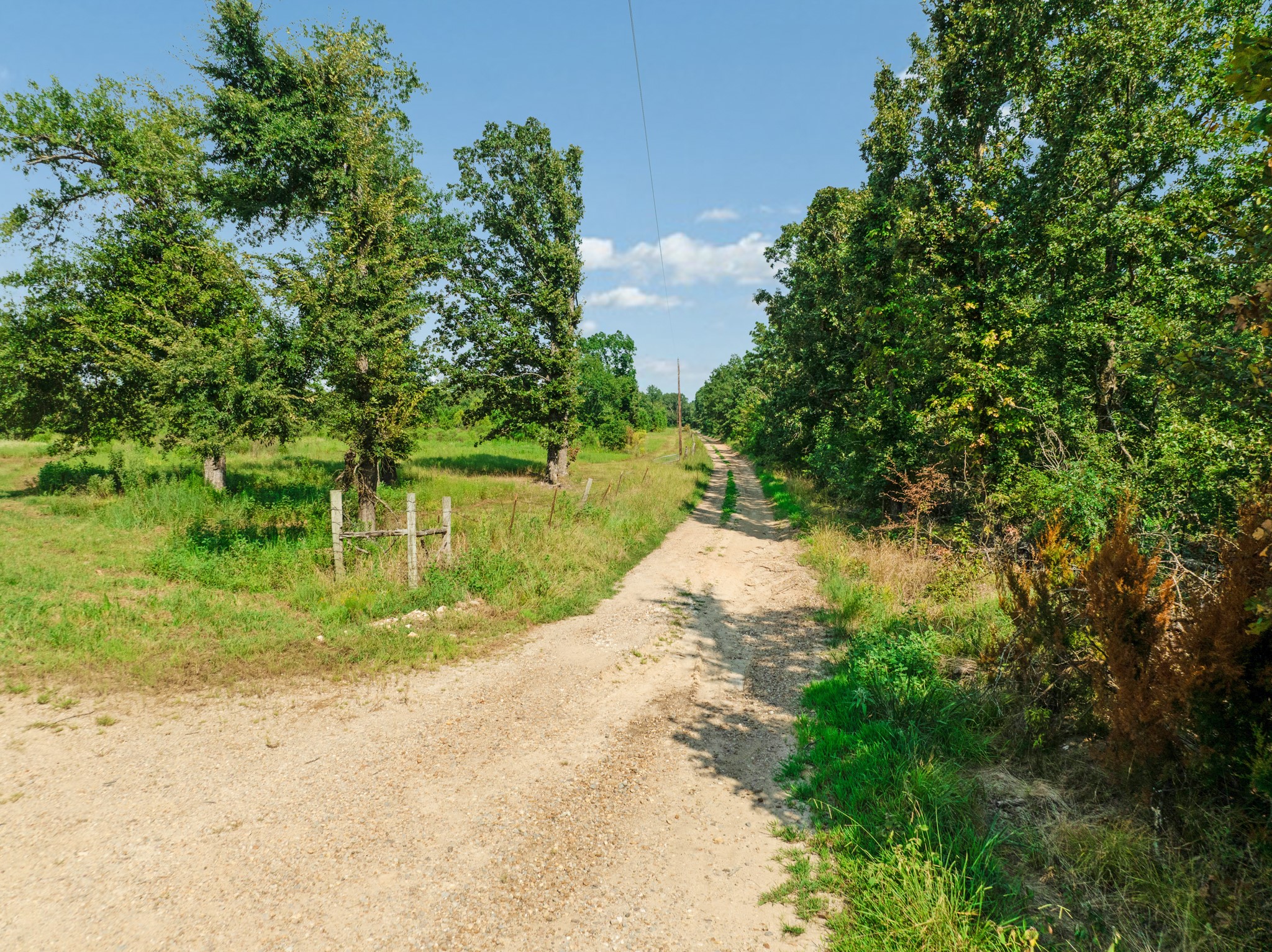 344 County Road 1276