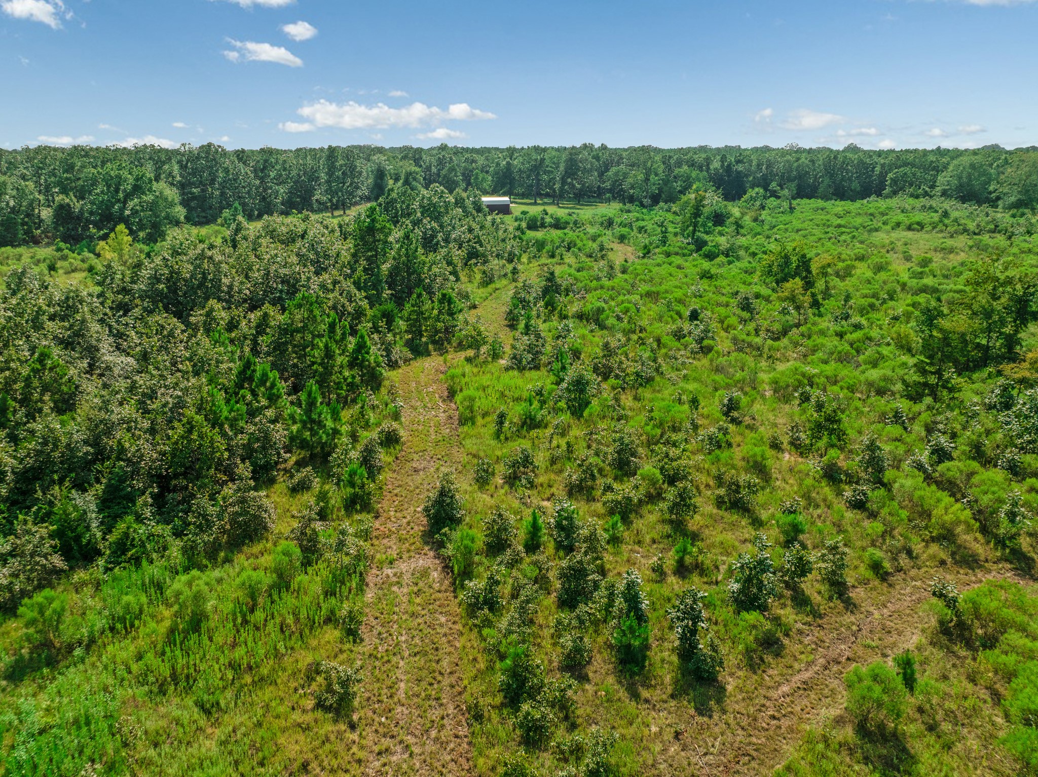 344 County Road 1276