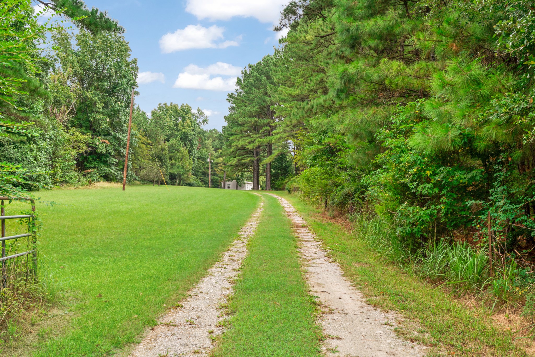 1490 Farm Road 2120