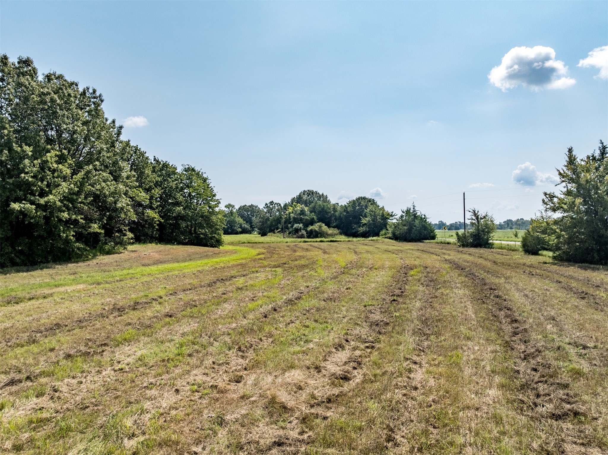 15036 Farm to Market 1499