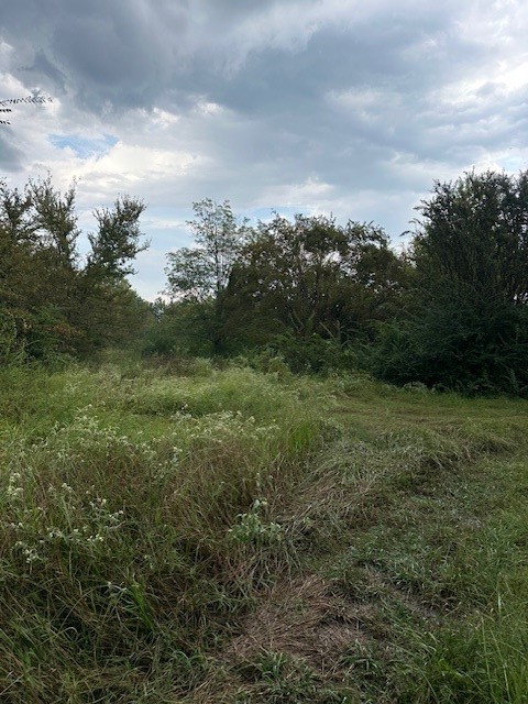 137 County Road 35460