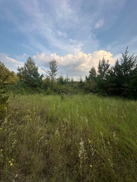 137 County Road 35460