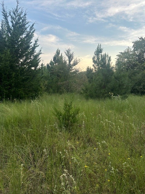 137 County Road 35460