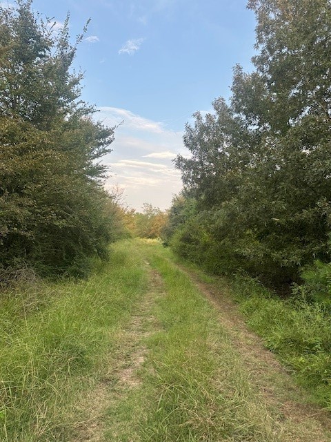 137 County Road 35460