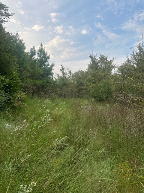 137 County Road 35460