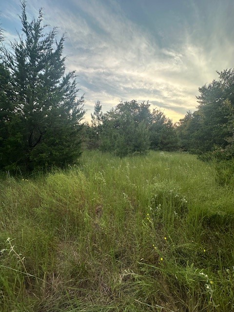 137 County Road 35460