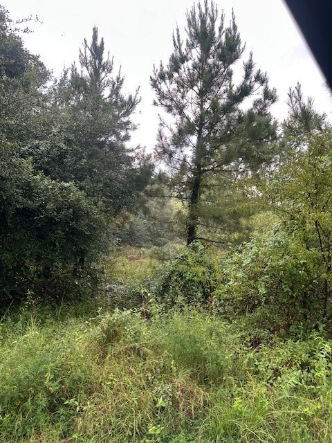 137 County Road 35460