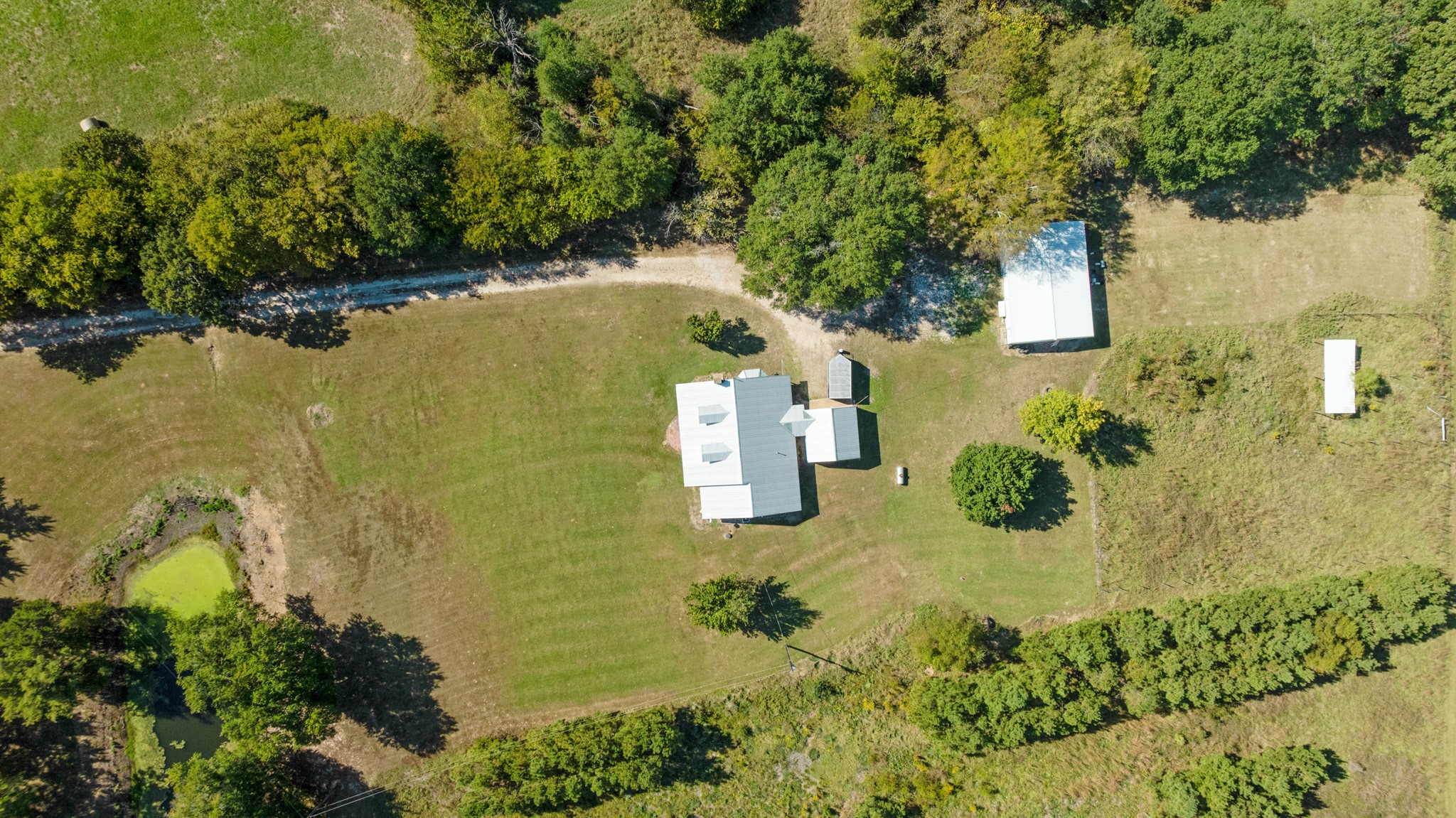 3325 Farm Road 194