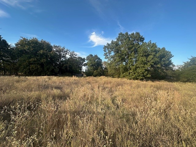 TBD Farm Road 79