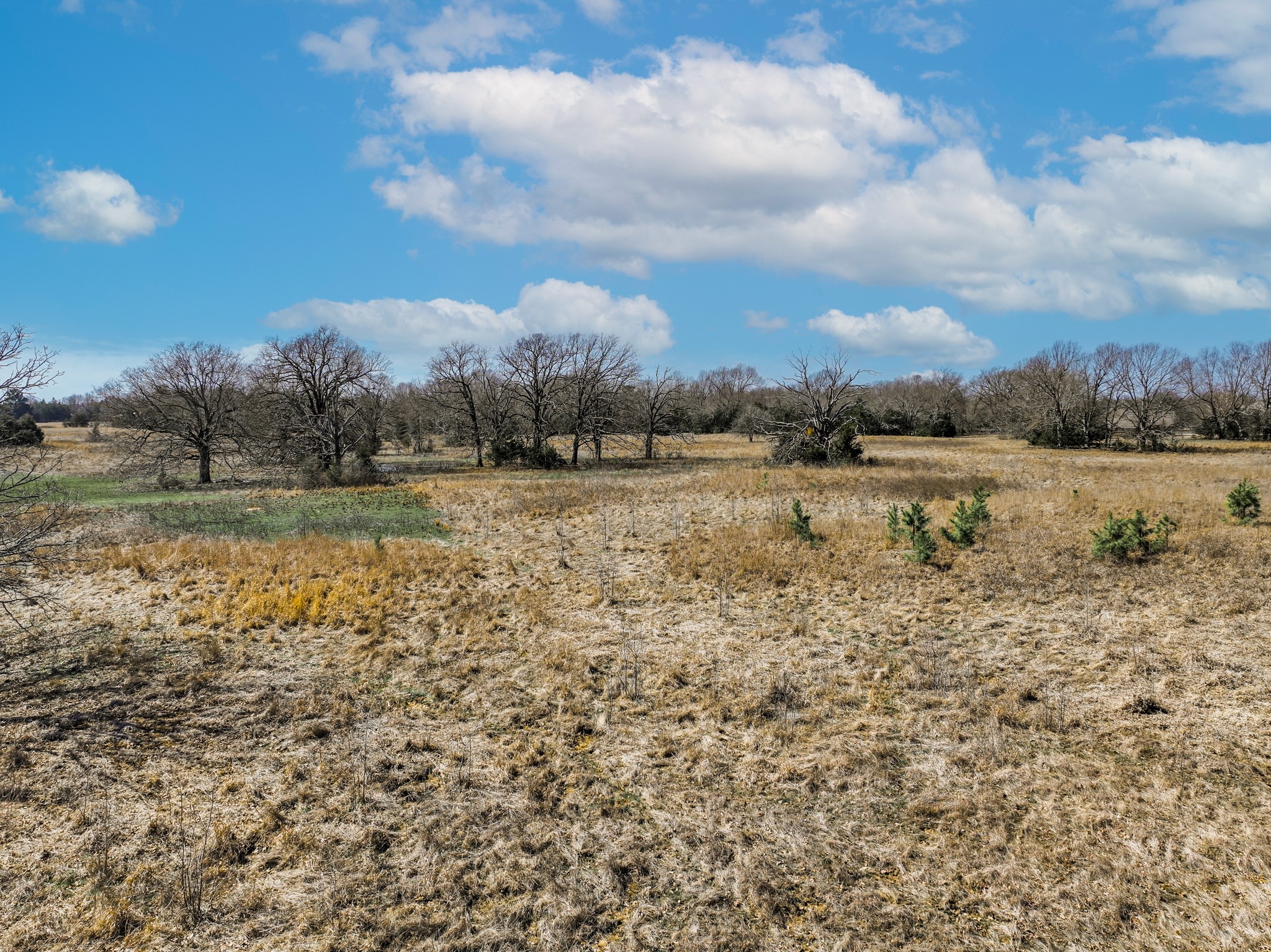 000 County Road 34710