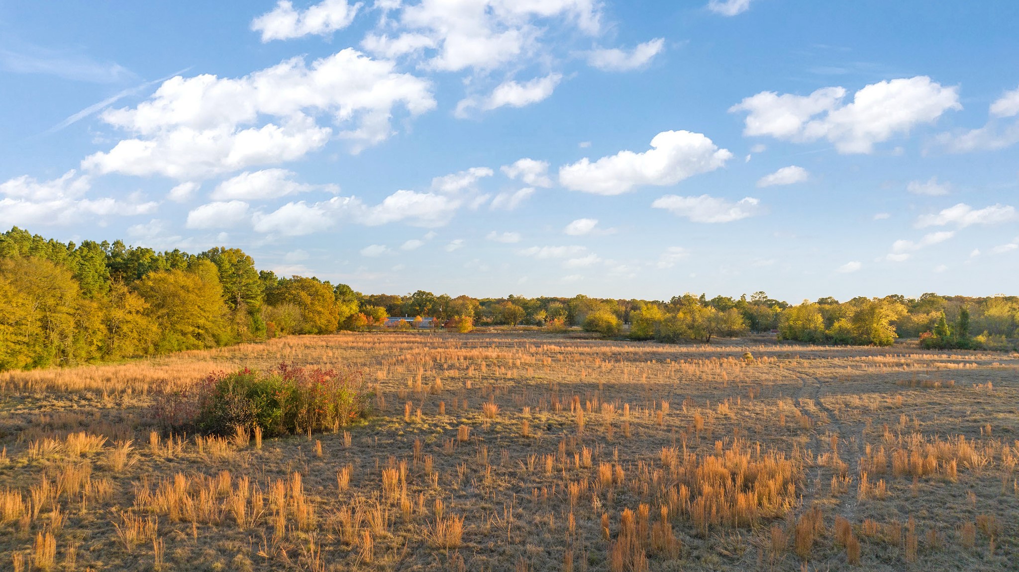 TBD FARM ROAD 3281