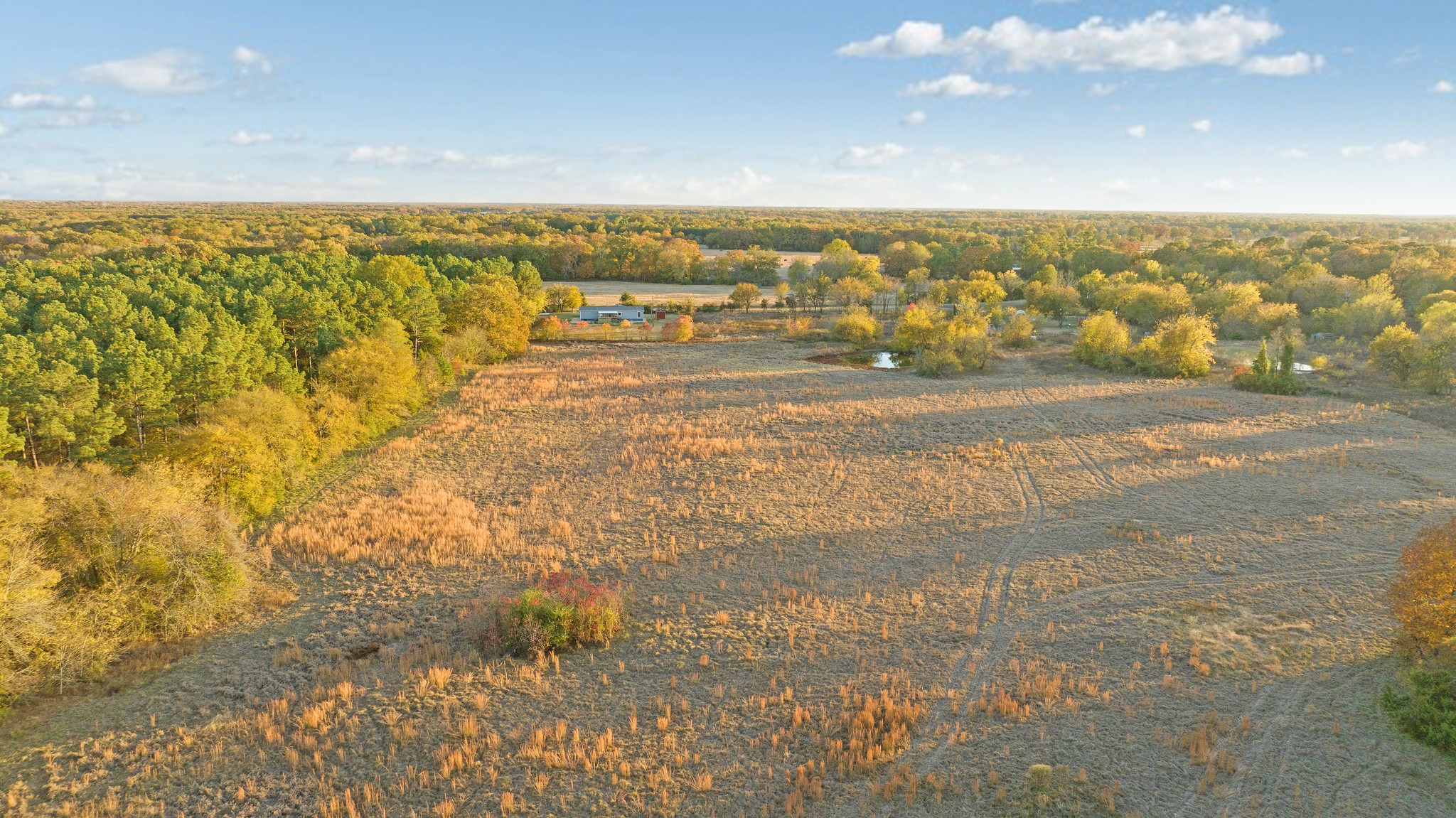 TBD FARM ROAD 3281
