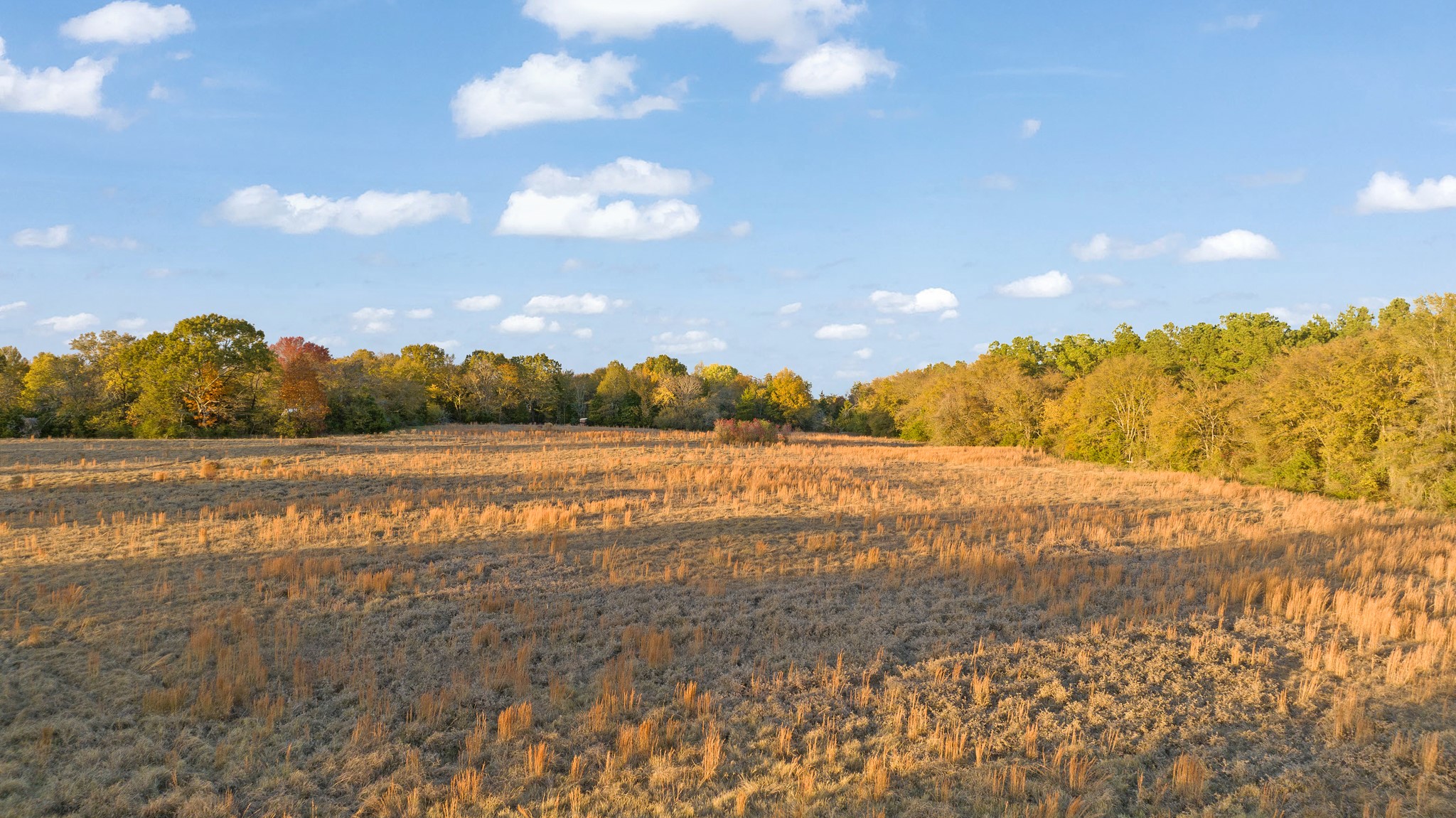 TBD FARM ROAD 3281