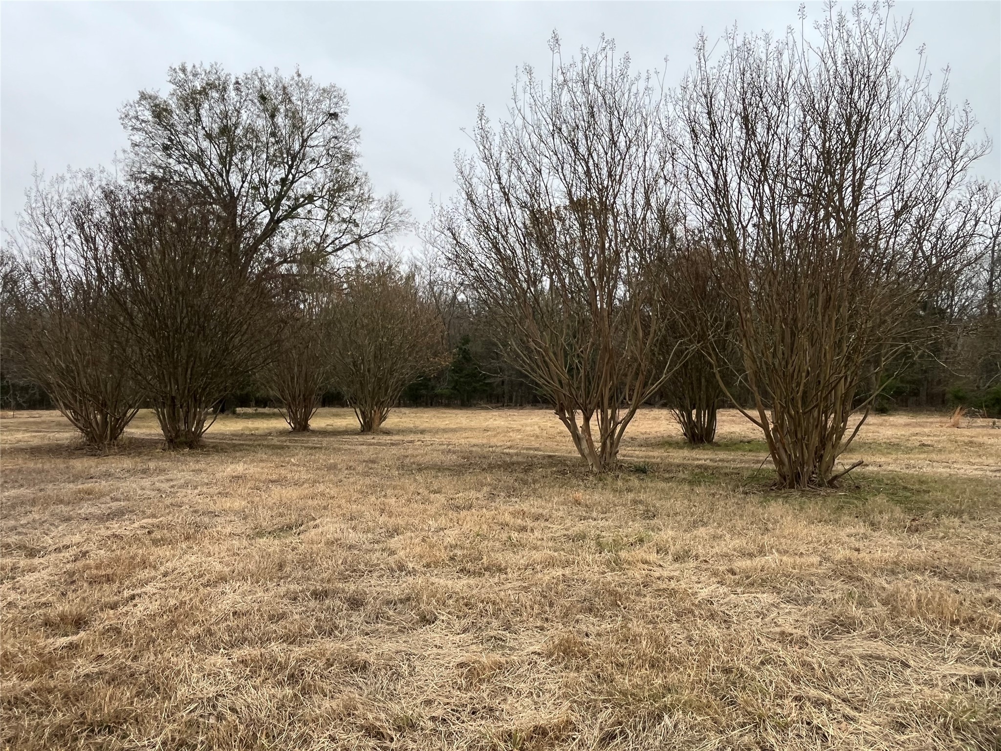 3771 COUNTY ROAD 44800
