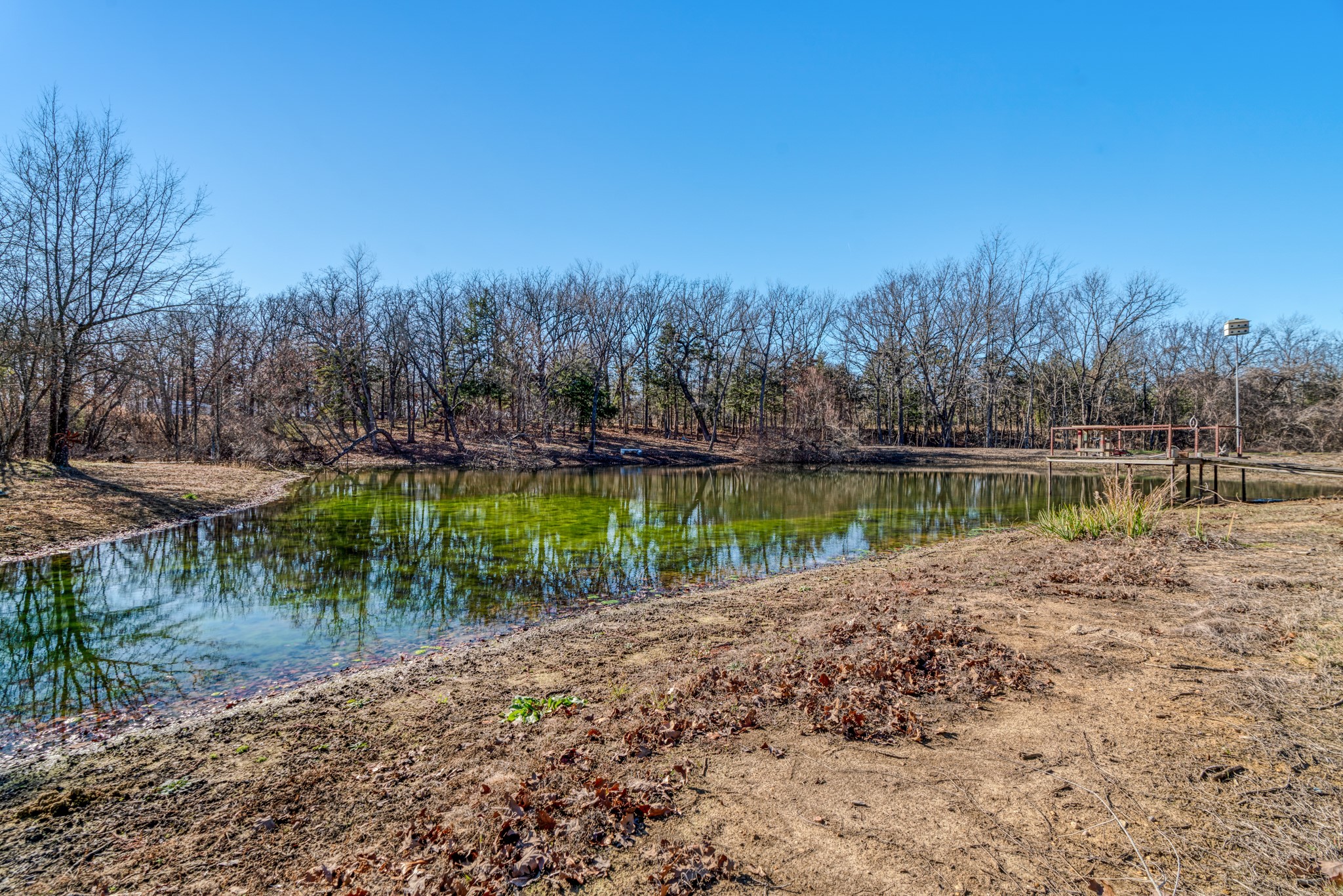 1431 County Road 44480