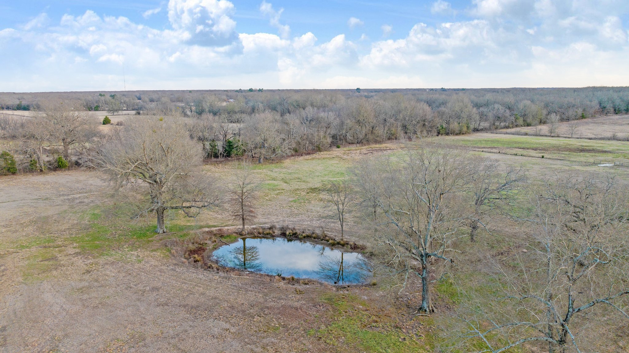 9216 Farm Road 195