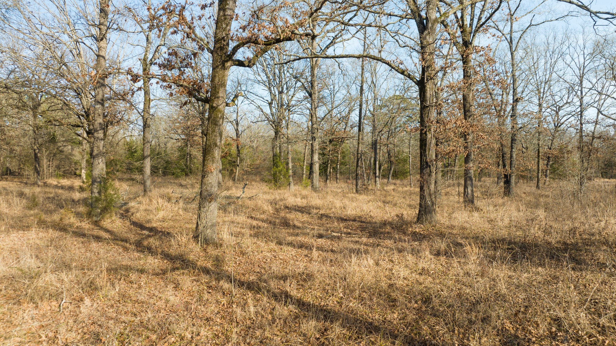 TBD HWY 271 S