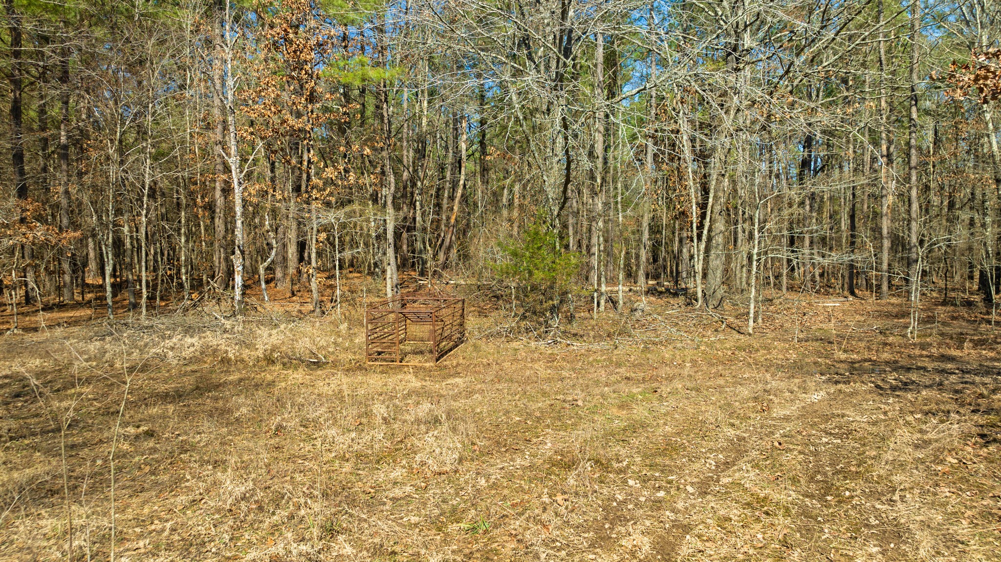TBD County Road 2237