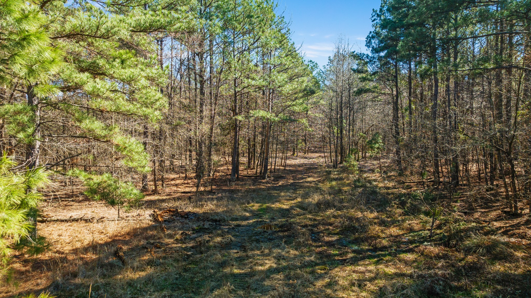 TBD County Road 2237