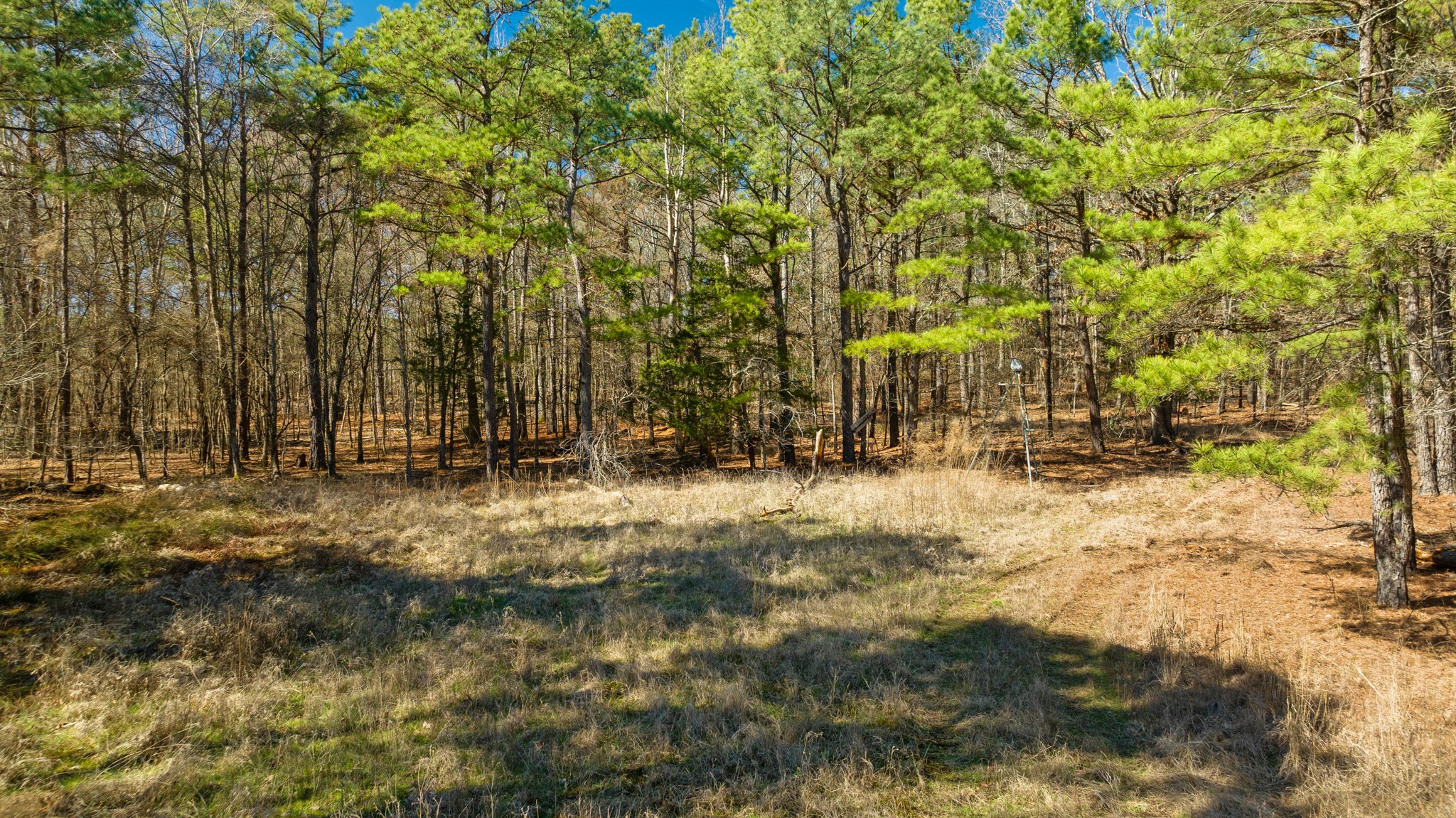 TBD County Road 2237