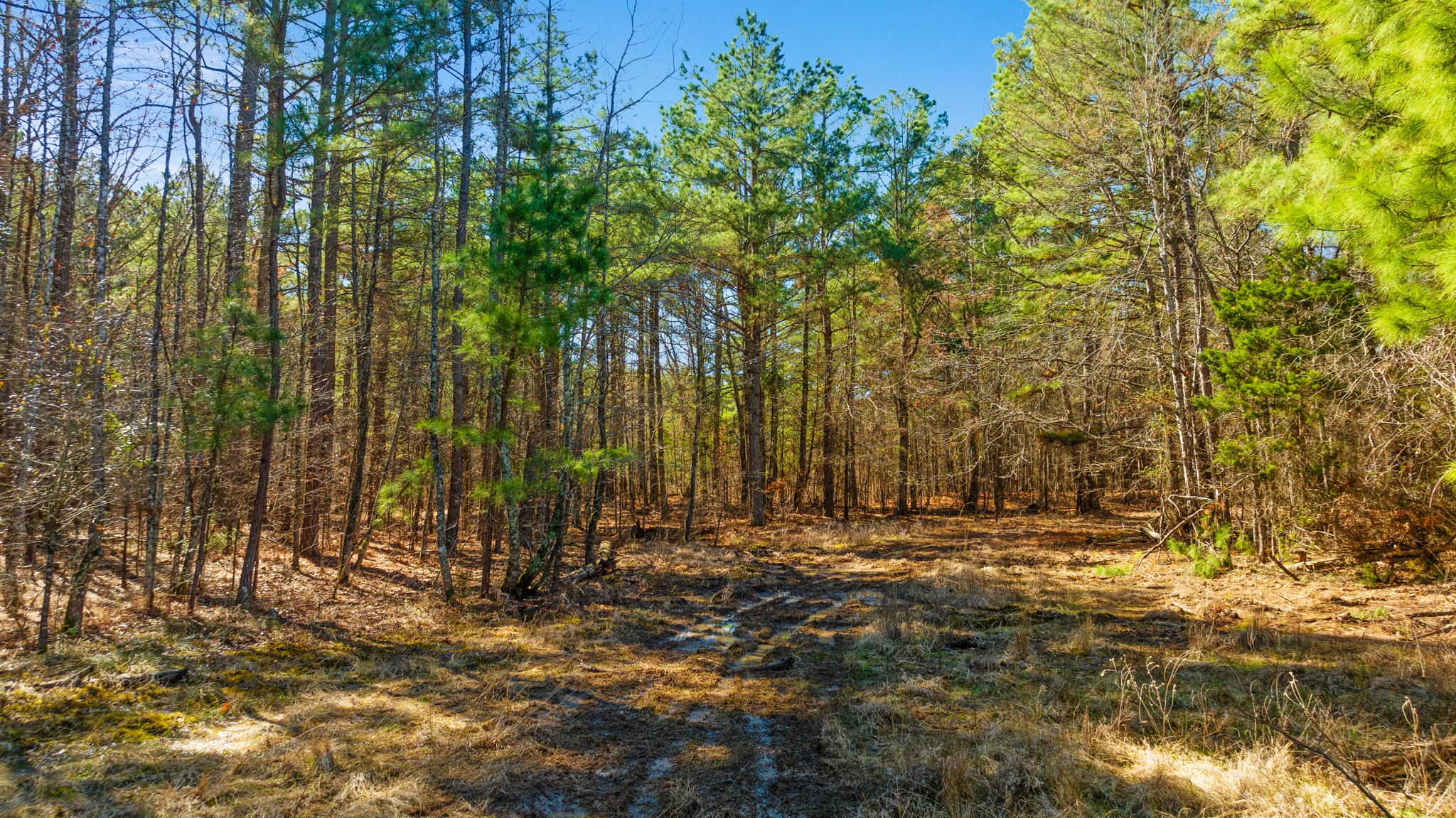 TBD County Road 2237