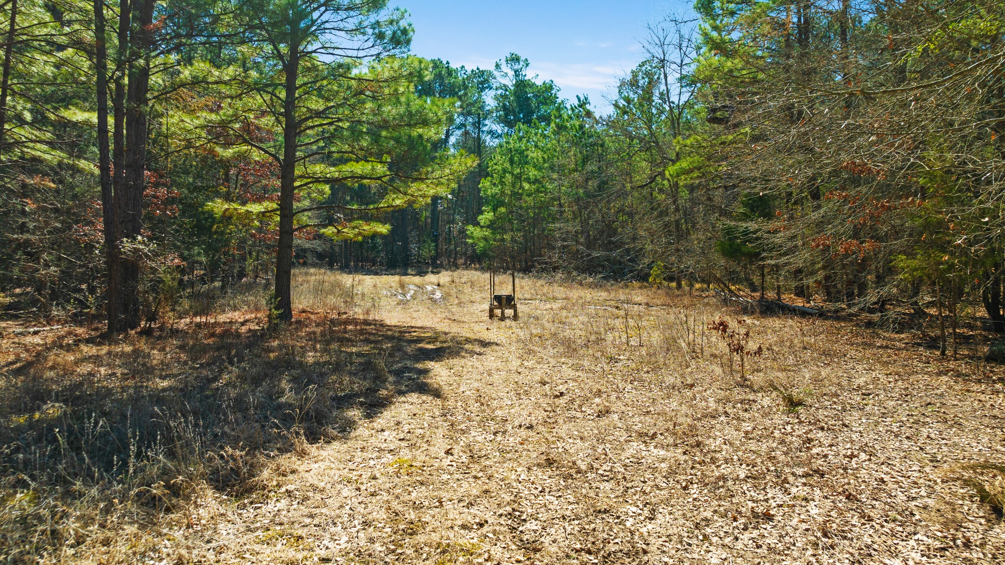 TBD County Road 2237