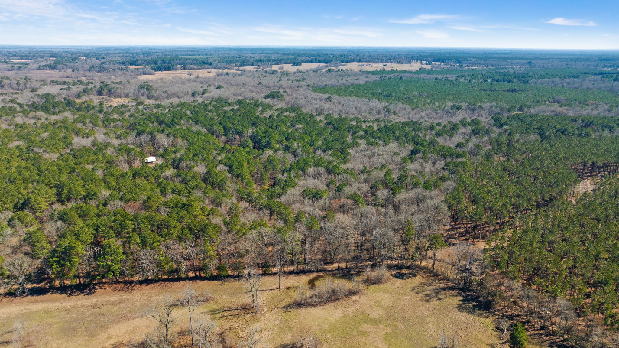 TBD County Road 2237