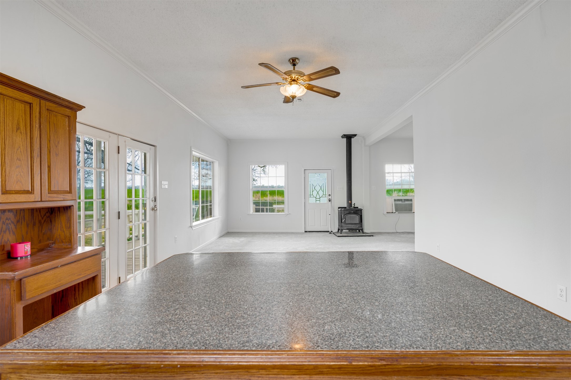 115 County Road 3100