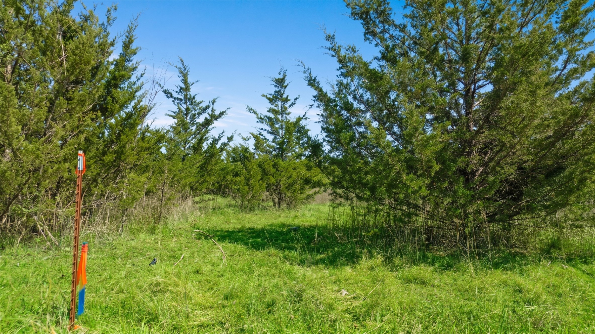 TBD LOT 1 COUNTY ROAD 43380