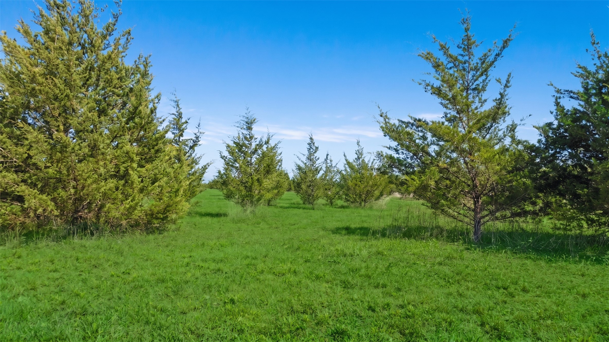 TBD LOT 1 COUNTY ROAD 43380