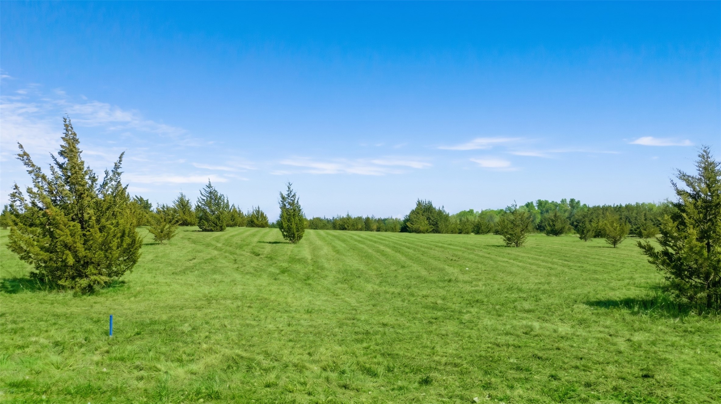 TBD LOT 1 COUNTY ROAD 43380