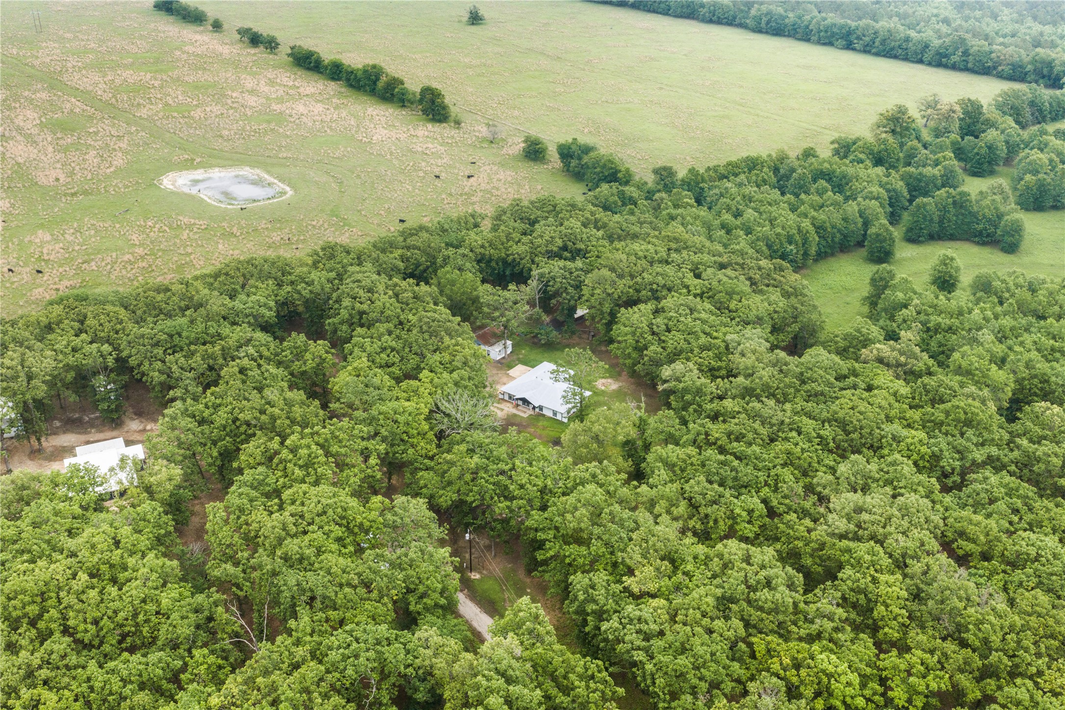 454 County Road 1485