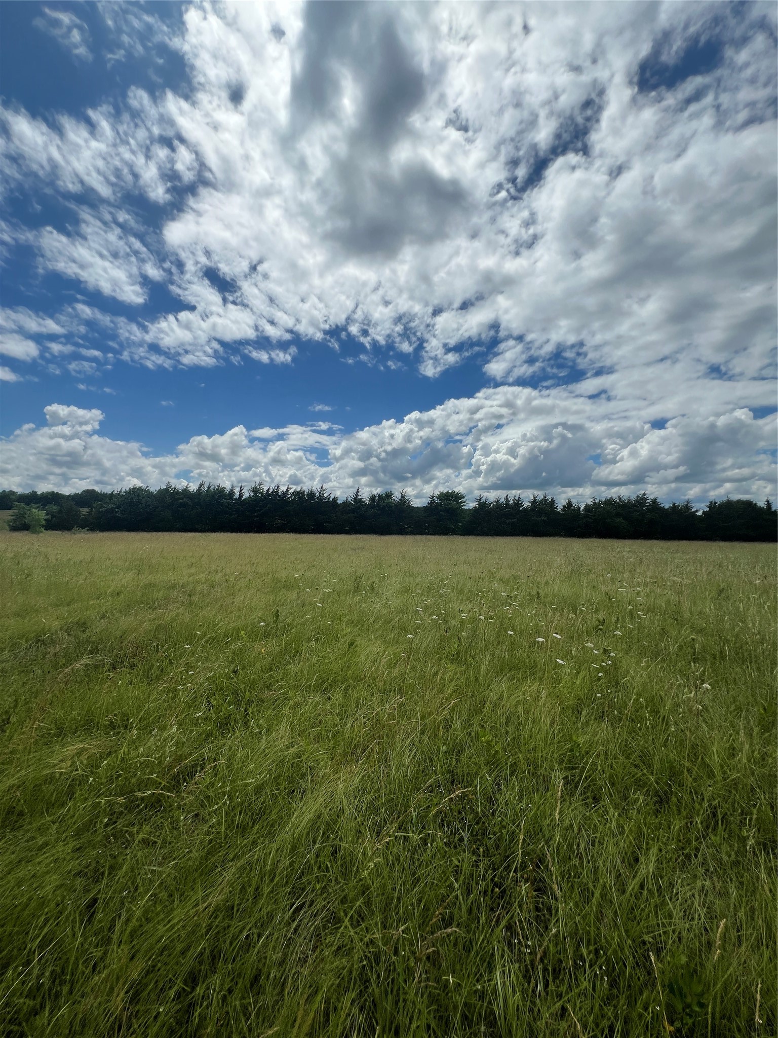 195 PR 33267