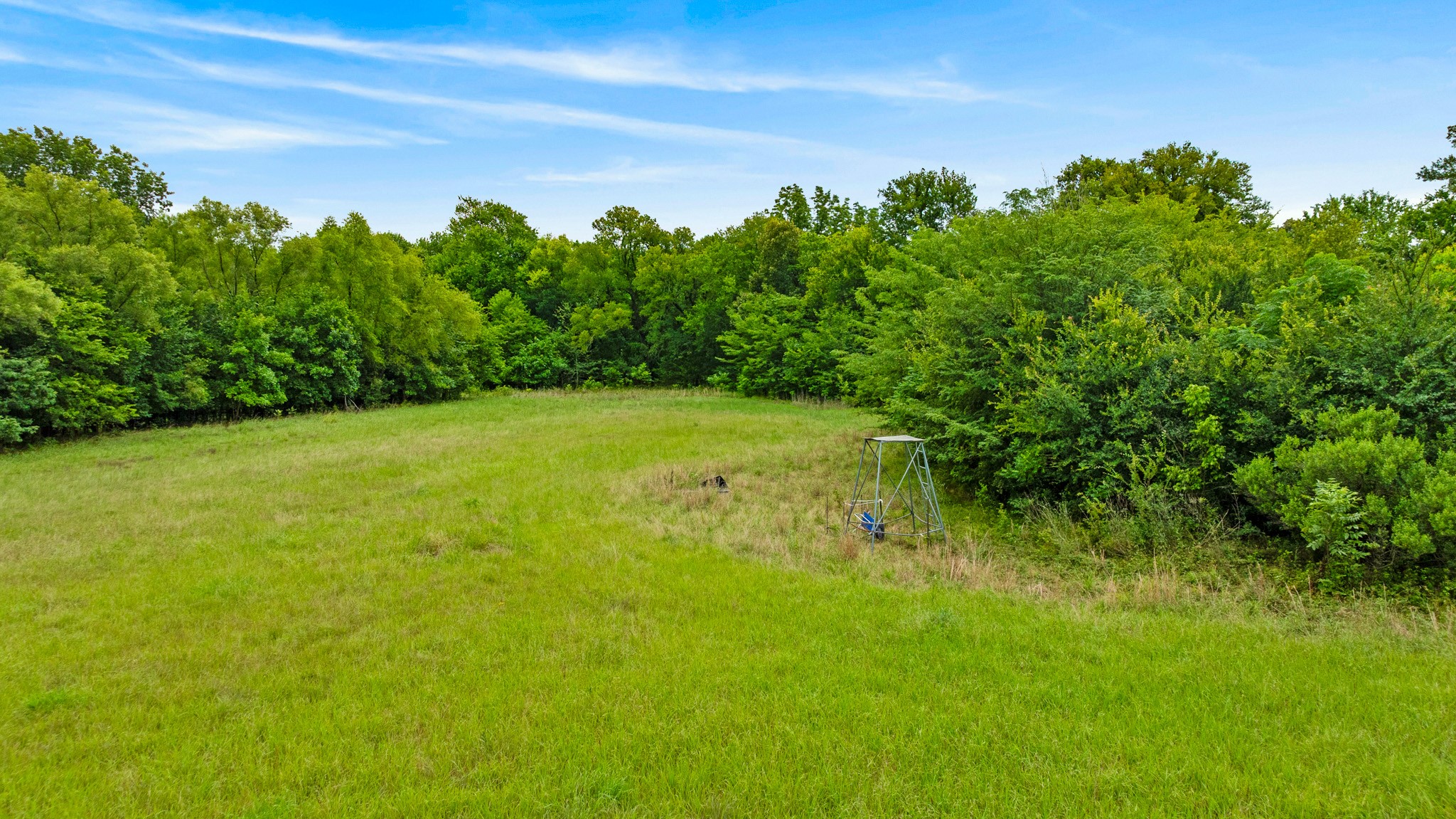1285 FARM ROAD 196