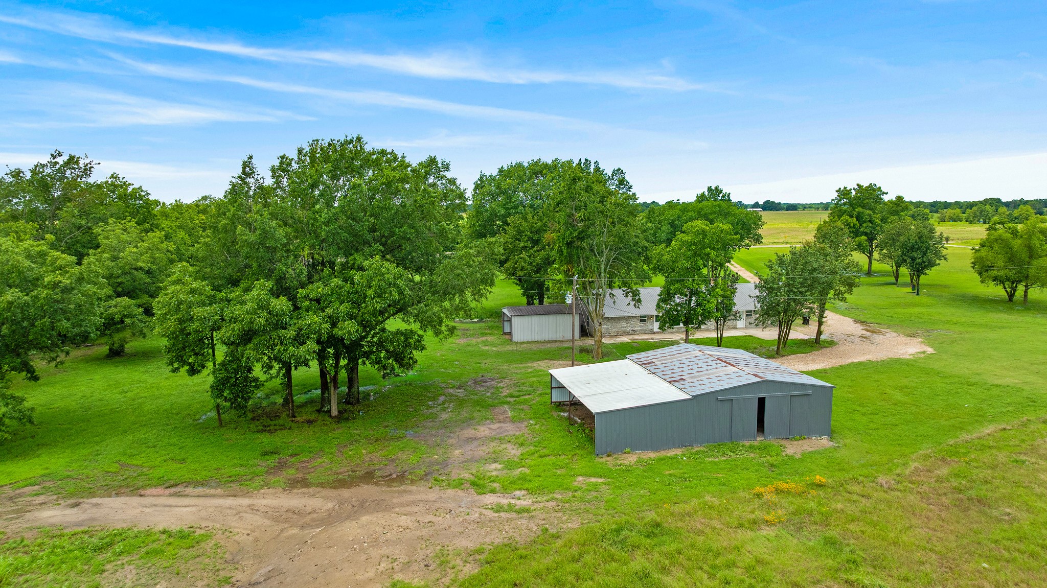 1285 FARM ROAD 196