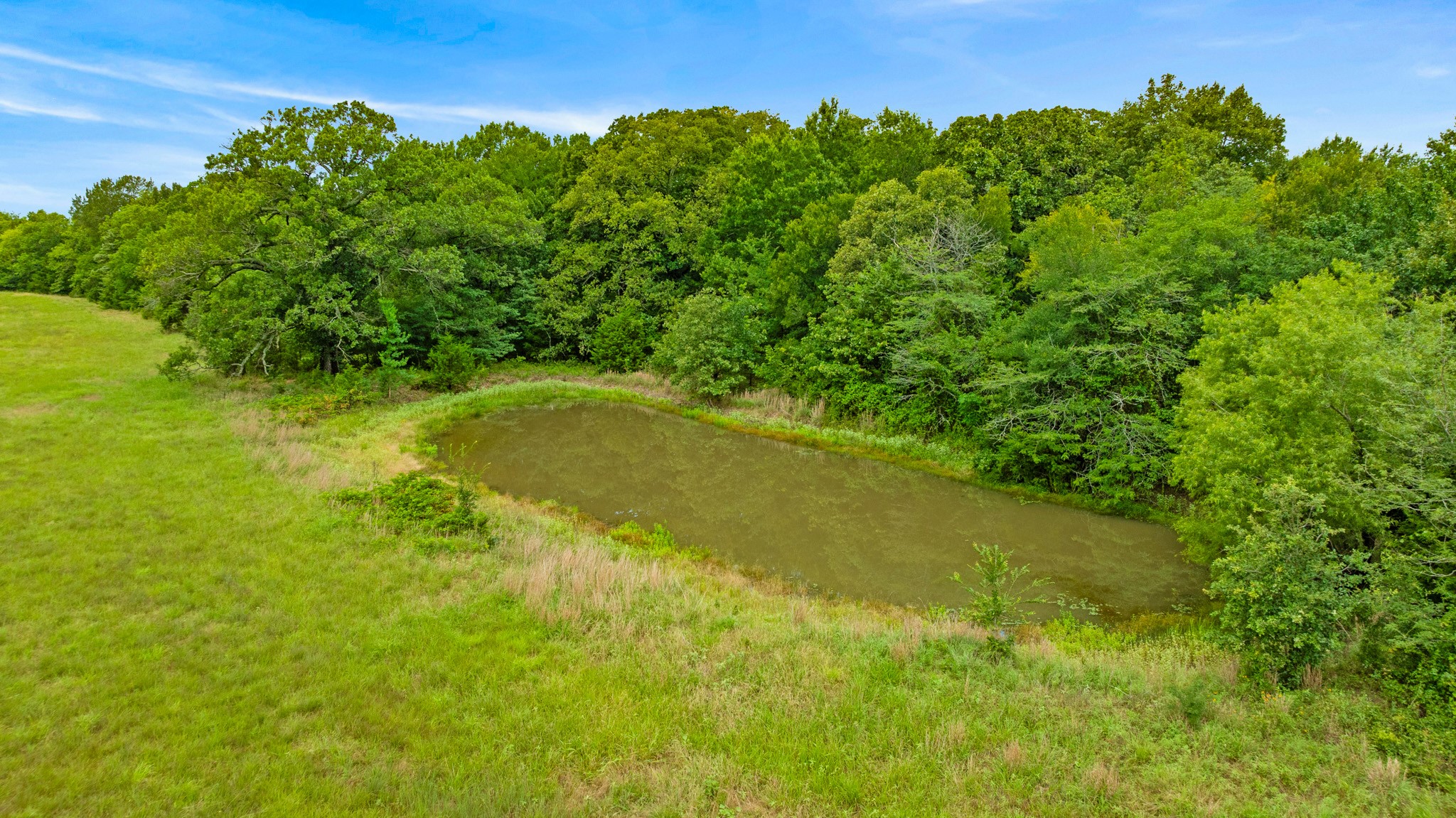 1285 FARM ROAD 196