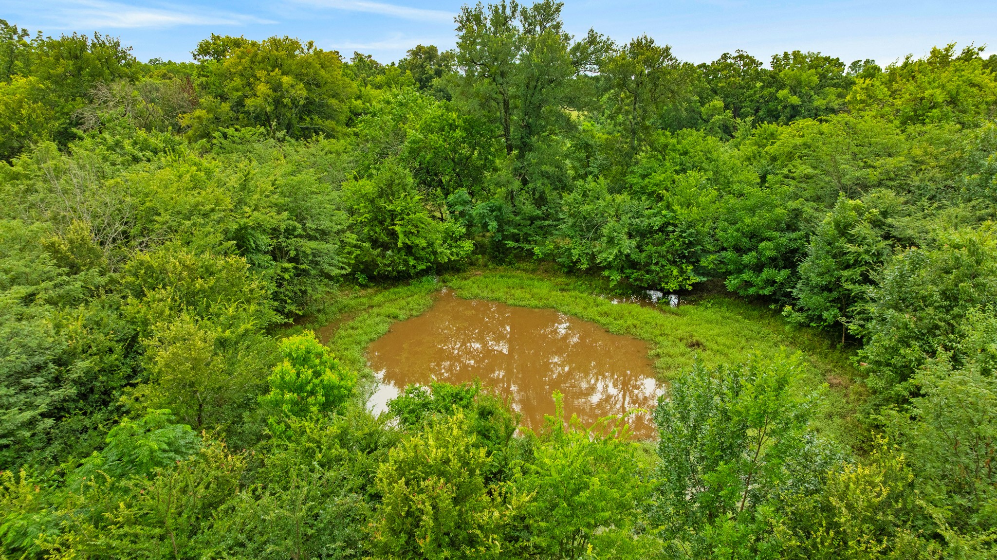 1285 FARM ROAD 196