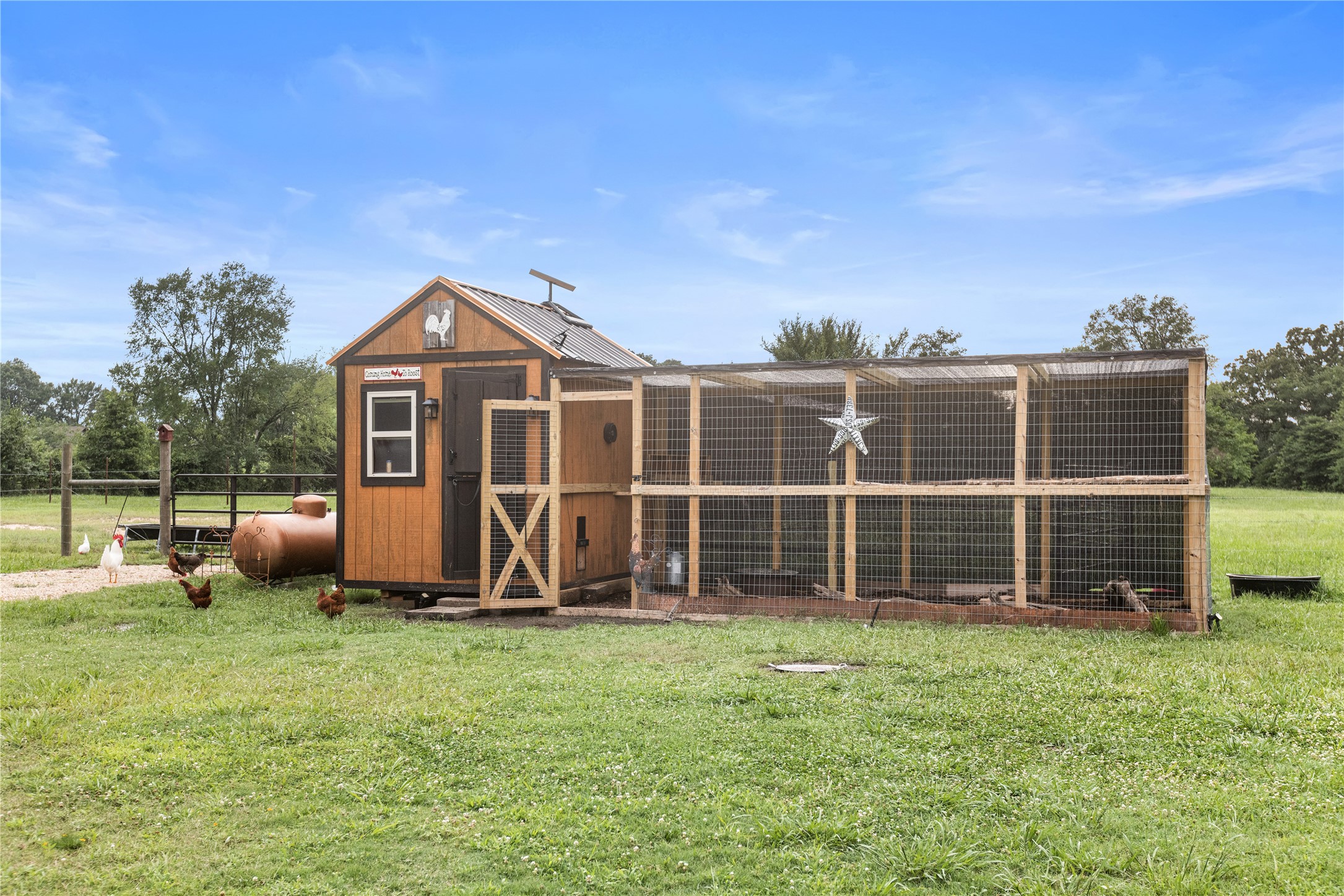 13217 Farm Road 195