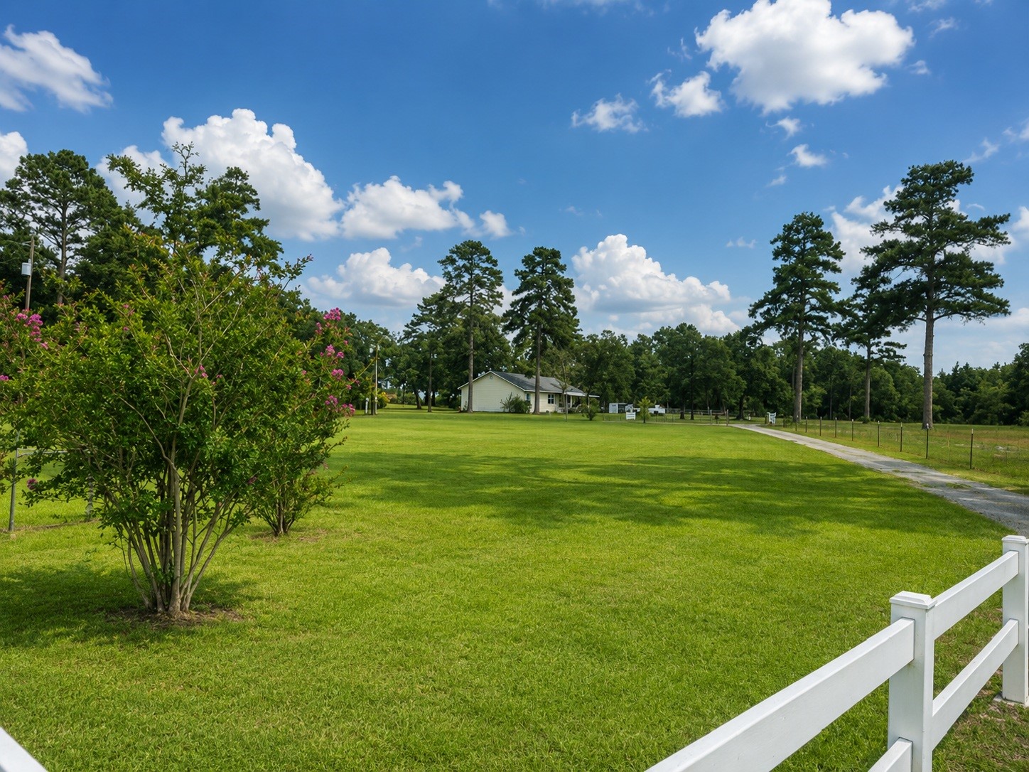 10038 County Road 313