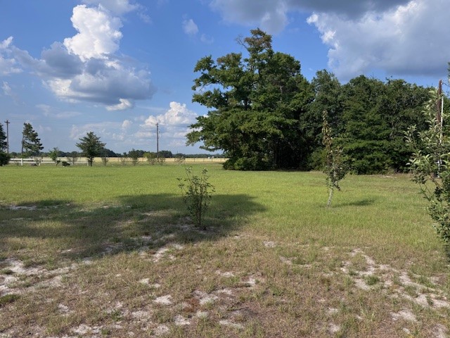 10038 County Road 313
