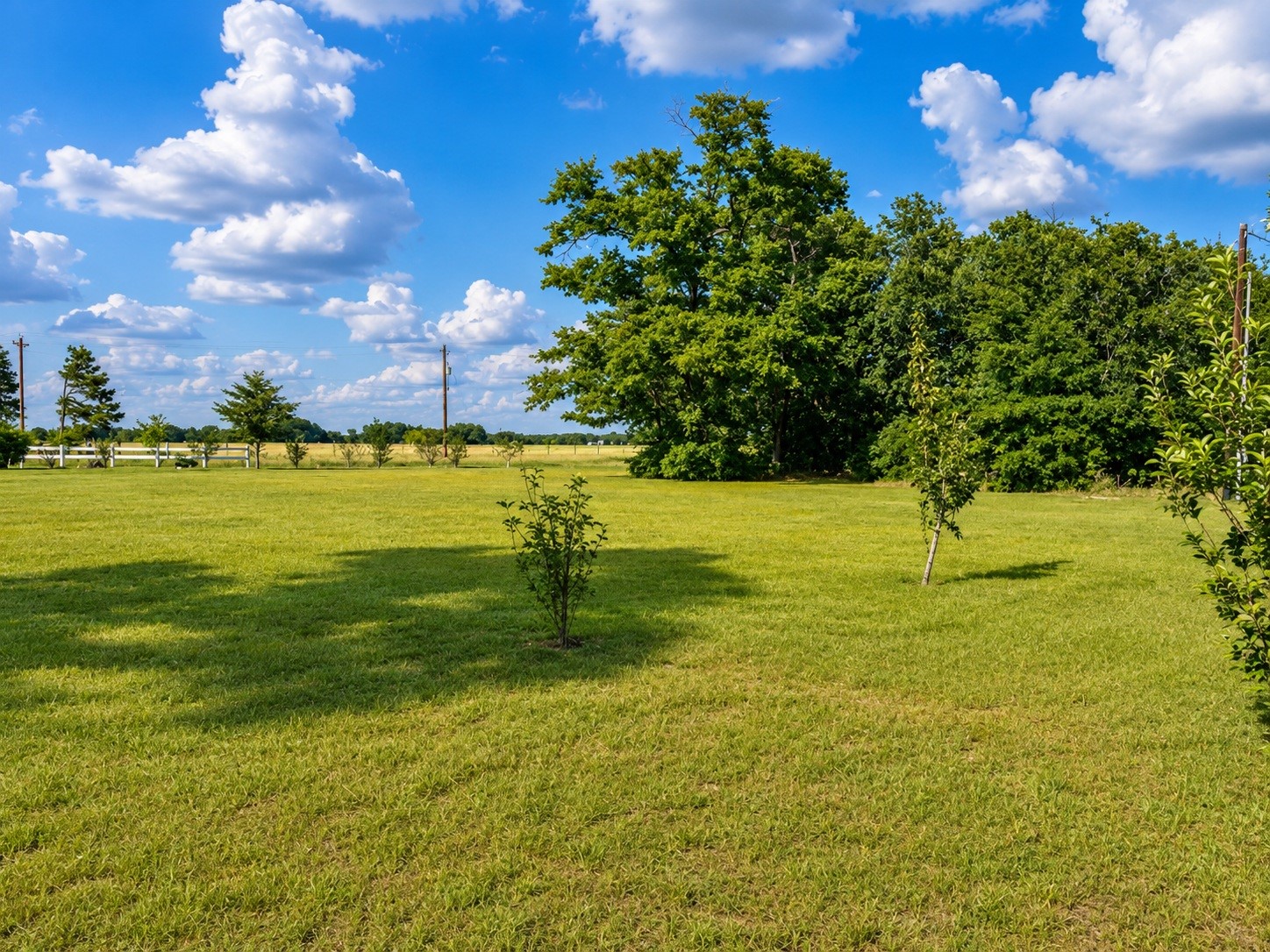 10038 County Road 313