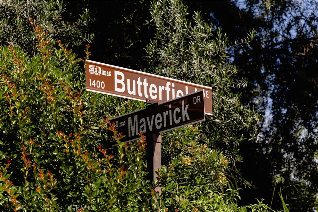 245 Maverick Drive
